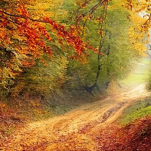Path